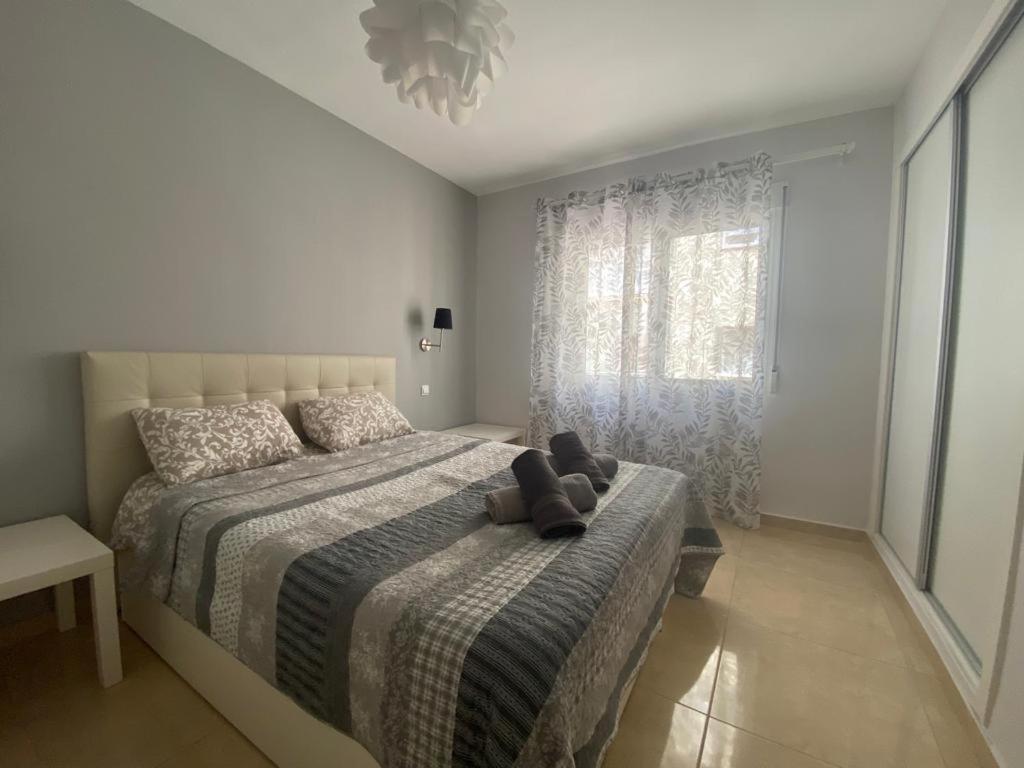 Delfin Apartment