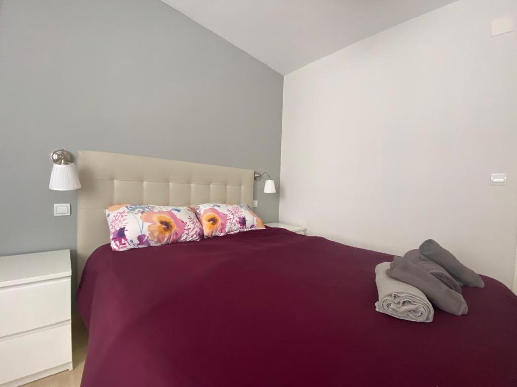 Delfin Apartment